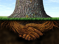 Tighten_the_Relationship_with_Your_Client_12_Words_That_Enhance_Trust_26-4-15_07-11-20.jpg